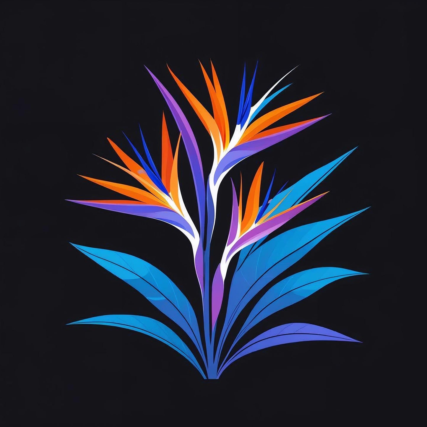The Bird of Paradise – The Freeform